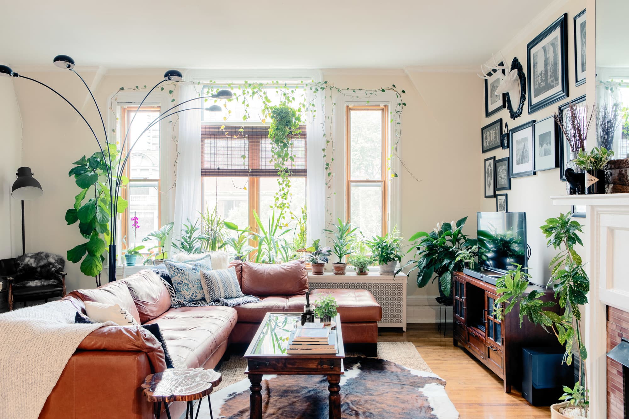 A Plant  Filled Apartment  in a Former Mansion Apartment  